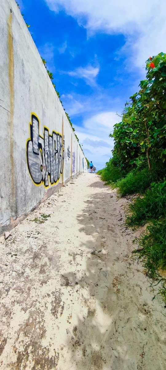 Sendero de arena con muro grafiteado hacia la Playa San Miguelito en Cancún. © 2024 Castor Daniel Oregel Maldonado